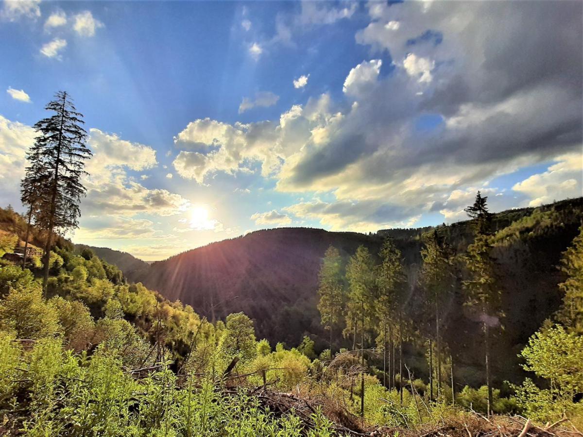 Harz Hotel Iris Sieber Екстер'єр фото