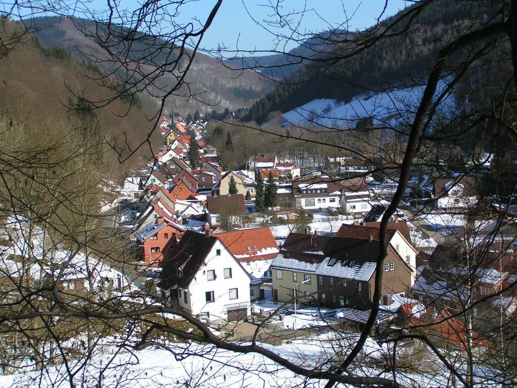 Harz Hotel Iris Sieber Екстер'єр фото