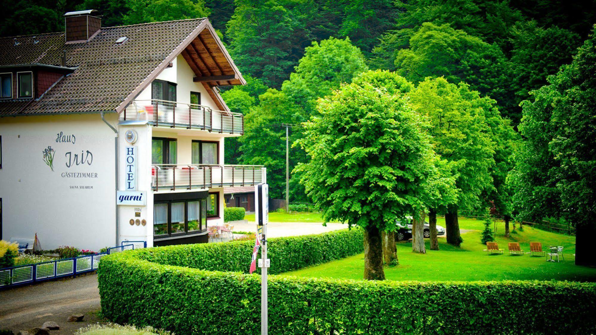 Harz Hotel Iris Sieber Екстер'єр фото